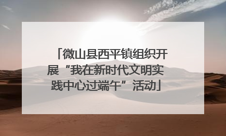 微山县西平镇组织开展“我在新时代文明实践中心过端午”活动
