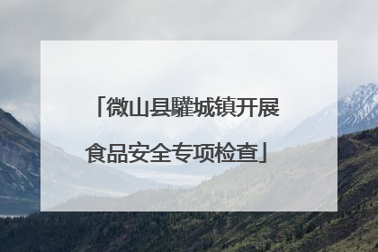 微山县驩城镇开展食品安全专项检查