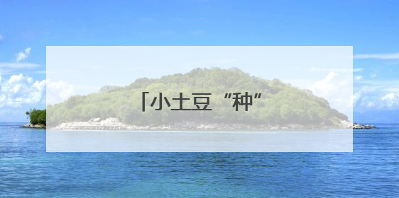小土豆“种”出共富新图景