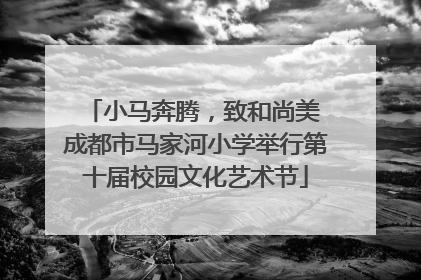 小马奔腾，致和尚美 成都市马家河小学举行第十届校园文化艺术节