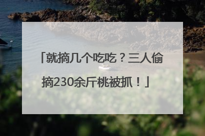就摘几个吃吃？三人偷摘230余斤桃被抓！