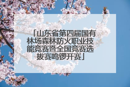 山东省第四届国有林场森林防火职业技能竞赛暨全国竞赛选拔赛鸣锣开赛