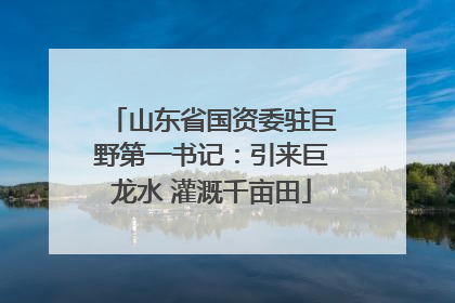 山东省国资委驻巨野第一书记：引来巨龙水 灌溉千亩田