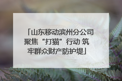 山东移动滨州分公司聚焦“打猫”行动 筑牢群众财产防护堤
