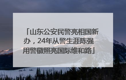山东公安民警亮相国新办，24年从警生涯陈强用警徽照亮国际维和路