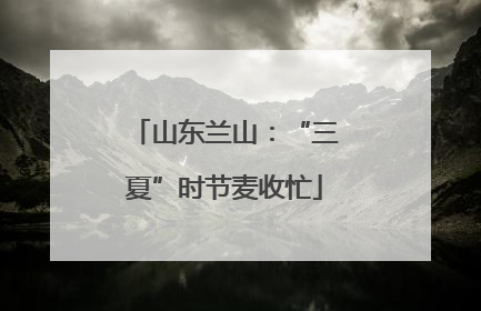 山东兰山：“三夏”时节麦收忙