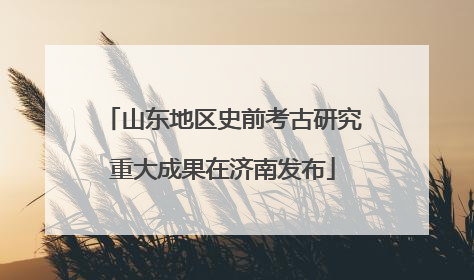 山东地区史前考古研究重大成果在济南发布