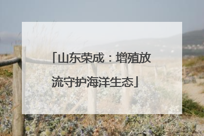 山东荣成：增殖放流守护海洋生态