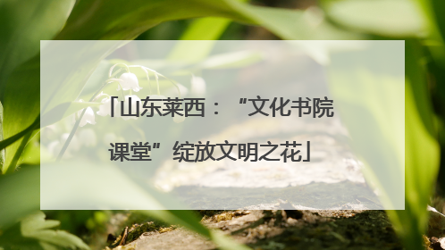 山东莱西：“文化书院课堂”绽放文明之花