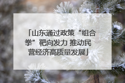山东通过政策“组合拳”靶向发力 推动民营经济高质量发展