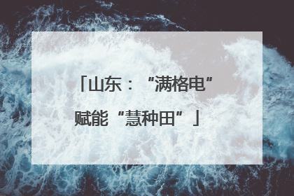 山东：“满格电”赋能“慧种田”