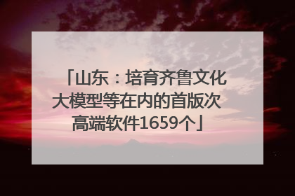 山东：培育齐鲁文化大模型等在内的首版次高端软件1659个