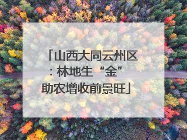 山西大同云州区：林地生“金” 助农增收前景旺