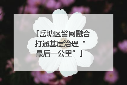 岳塘区警网融合 打通基层治理“最后一公里”
