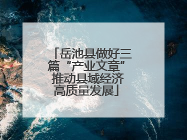 岳池县做好三篇“产业文章” 推动县域经济高质量发展