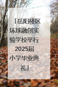 岳阳楼区环球融创实验学校举行2025届小学毕业典礼
