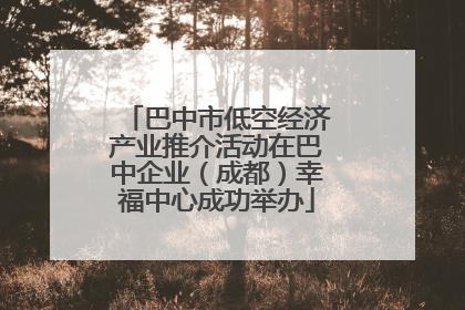 巴中市低空经济产业推介活动在巴中企业（成都）幸福中心成功举办
