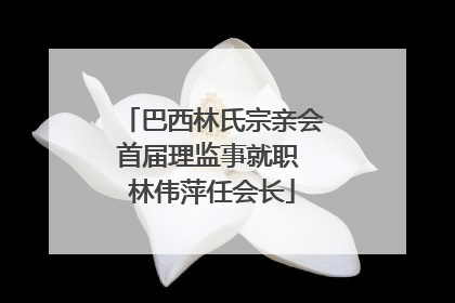 巴西林氏宗亲会首届理监事就职 林伟萍任会长