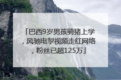 巴西9岁男孩骑猪上学，风驰电掣视频走红网络，粉丝已超125万