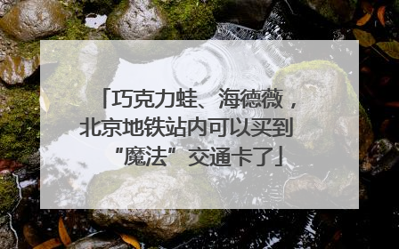 巧克力蛙、海德薇，北京地铁站内可以买到“魔法”交通卡了