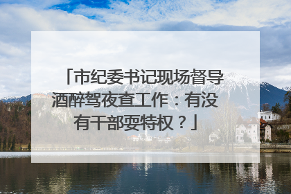 市纪委书记现场督导酒醉驾夜查工作：有没有干部耍特权？