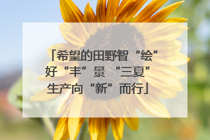 希望的田野智“绘”好“丰”景 “三夏”生产向“新”而行