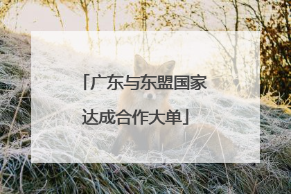 广东与东盟国家达成合作大单