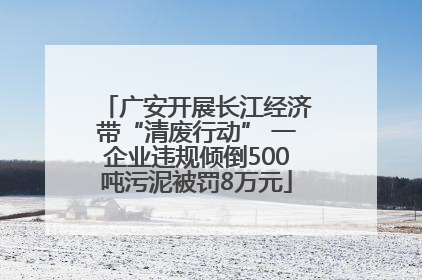 广安开展长江经济带“清废行动” 一企业违规倾倒500吨污泥被罚8万元