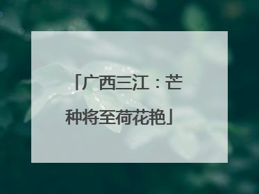广西三江：芒种将至荷花艳