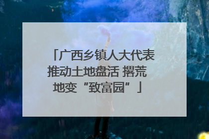 广西乡镇人大代表推动土地盘活 撂荒地变“致富园”