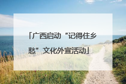 广西启动“记得住乡愁”文化外宣活动