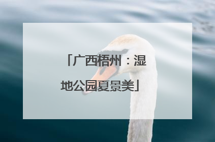 广西梧州：湿地公园夏景美