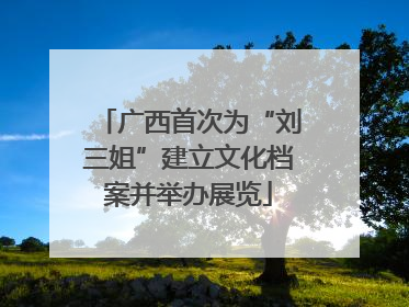 广西首次为“刘三姐”建立文化档案并举办展览