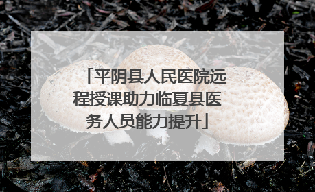 平阴县人民医院远程授课助力临夏县医务人员能力提升