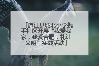 庐江县城北小学携手社区开展“我爱我家，我爱合肥，礼让文明”实践活动