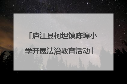 庐江县柯坦镇陈埠小学开展法治教育活动