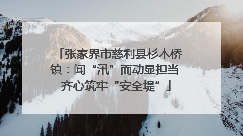 张家界市慈利县杉木桥镇：闻“汛”而动显担当 齐心筑牢“安全堤”