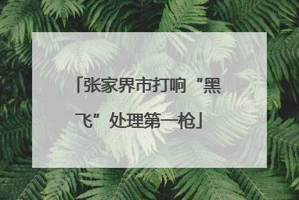 张家界市打响“黑飞”处理第一枪