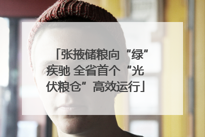 张掖储粮向“绿”疾驰 全省首个“光伏粮仓”高效运行