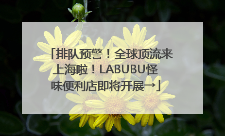 排队预警！全球顶流来上海啦！LABUBU怪味便利店即将开展→