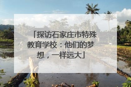 探访石家庄市特殊教育学校：他们的梦想，一样远大