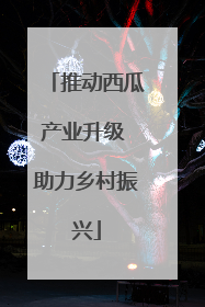 推动西瓜产业升级 助力乡村振兴