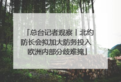 总台记者观察丨北约防长会拟加大防务投入 欧洲内部分歧难掩