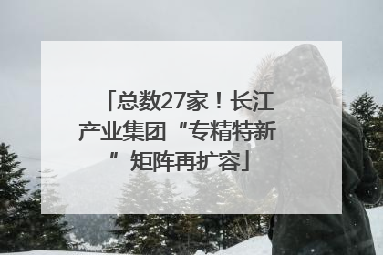 总数27家！长江产业集团“专精特新”矩阵再扩容
