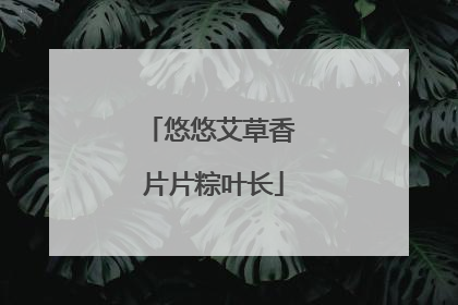 悠悠艾草香 片片粽叶长