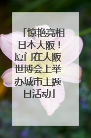 惊艳亮相日本大阪！厦门在大阪世博会上举办城市主题日活动
