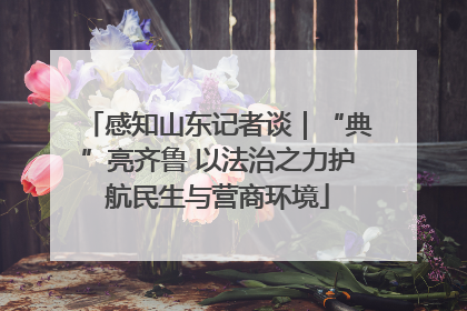 感知山东记者谈｜“典”亮齐鲁 以法治之力护航民生与营商环境