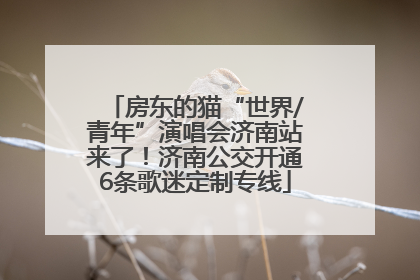 房东的猫“世界/青年”演唱会济南站来了！济南公交开通6条歌迷定制专线