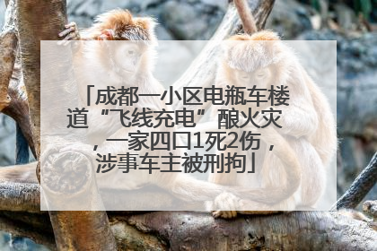 成都一小区电瓶车楼道“飞线充电”酿火灾，一家四口1死2伤，涉事车主被刑拘