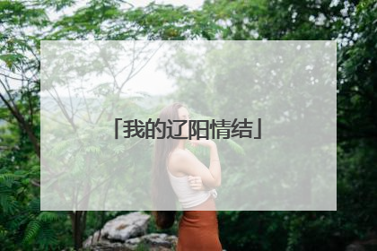 我的辽阳情结